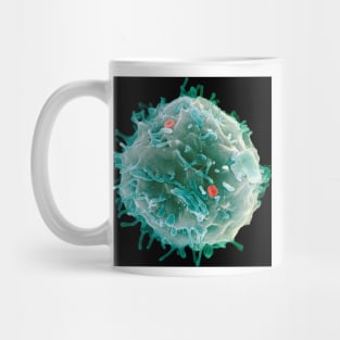 Stem cell, SEM (G442/0451) Mug